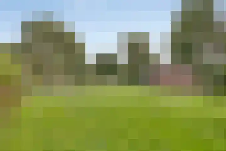 Museumlaan 14 Koog aan de Zaan thumbnail 29