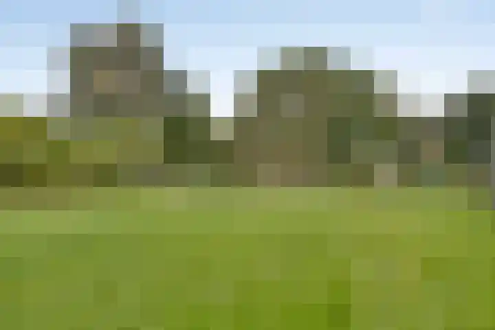 Museumlaan 14 Koog aan de Zaan thumbnail 30