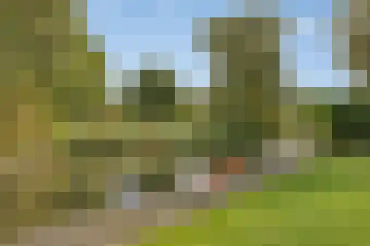 Museumlaan 14 Koog aan de Zaan thumbnail 31