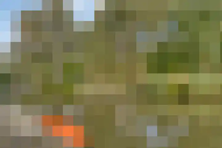 Museumlaan 14 Koog aan de Zaan thumbnail 32