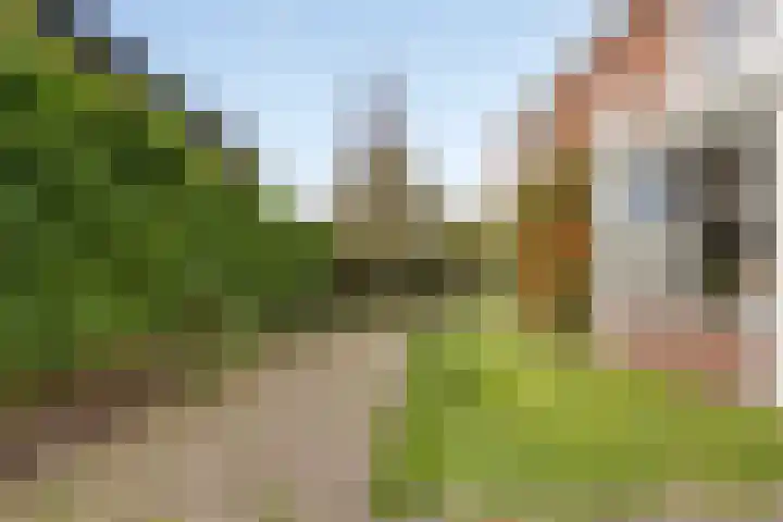 Museumlaan 14 Koog aan de Zaan thumbnail 37