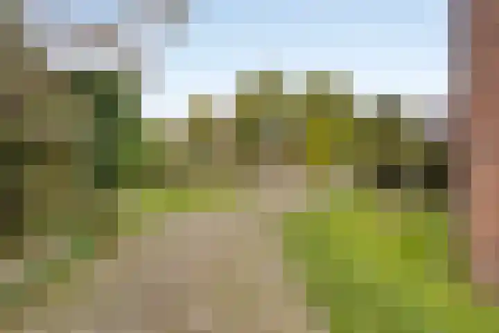Museumlaan 14 Koog aan de Zaan thumbnail 38