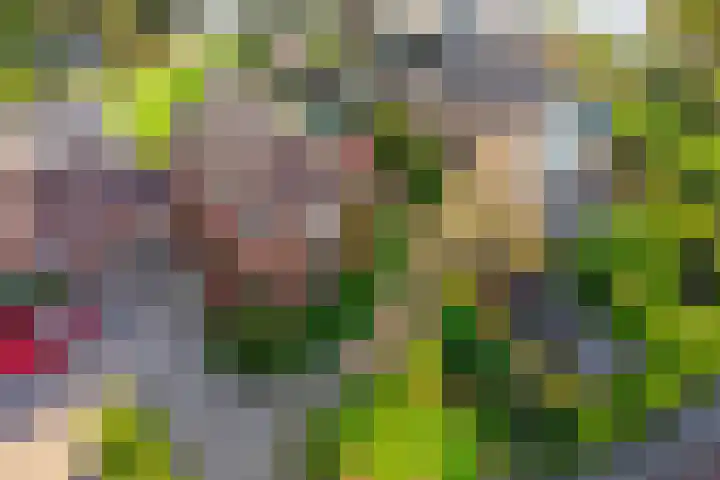 Museumlaan 14 Koog aan de Zaan thumbnail 4