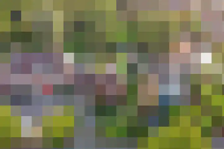 Museumlaan 14 Koog aan de Zaan thumbnail 40
