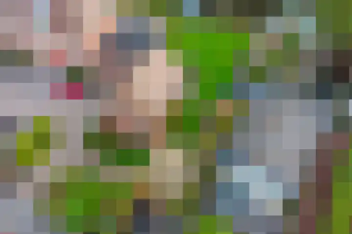 Museumlaan 14 Koog aan de Zaan thumbnail 41