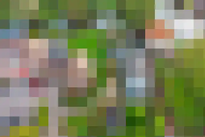 Museumlaan 14 Koog aan de Zaan thumbnail 42
