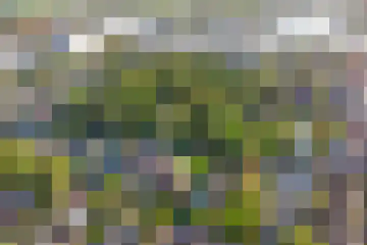 Museumlaan 14 Koog aan de Zaan thumbnail 43