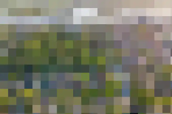 Museumlaan 14 Koog aan de Zaan thumbnail 44