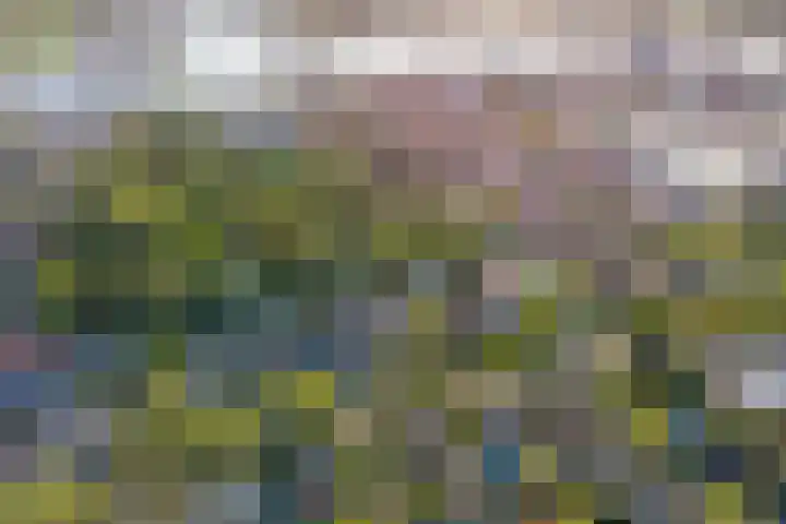 Museumlaan 14 Koog aan de Zaan thumbnail 45