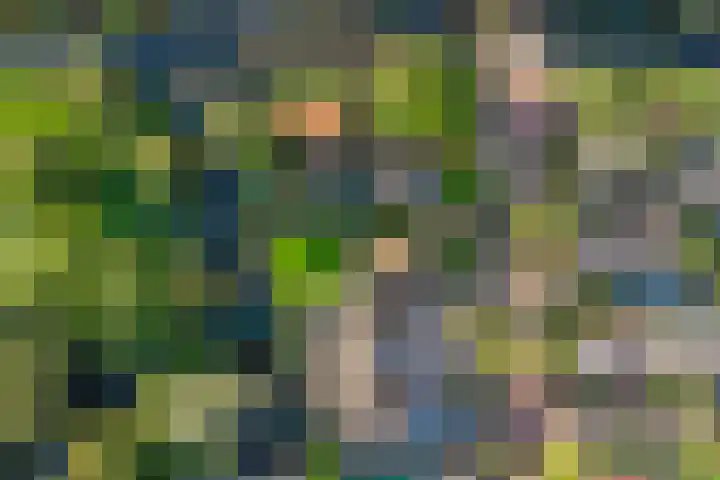 Museumlaan 14 Koog aan de Zaan thumbnail 47
