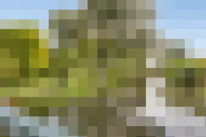 Museumlaan 14 Koog aan de Zaan thumbnail 50