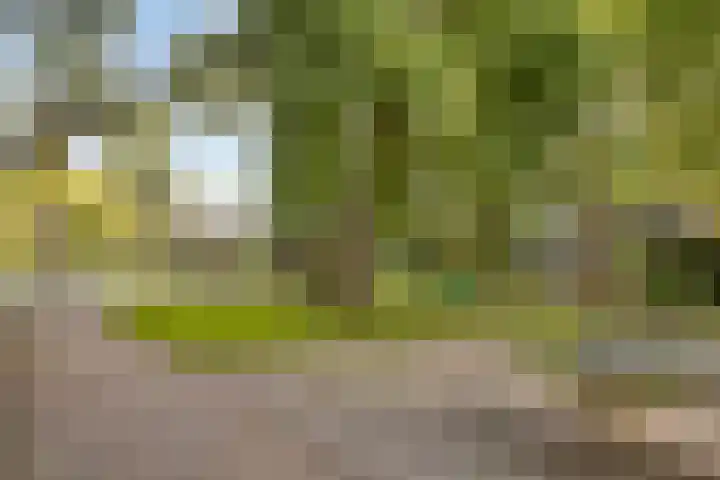 Museumlaan 14 Koog aan de Zaan thumbnail 51