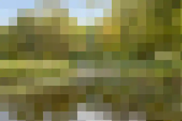 Museumlaan 14 Koog aan de Zaan thumbnail 52