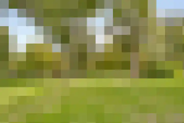 Museumlaan 14 Koog aan de Zaan thumbnail 53