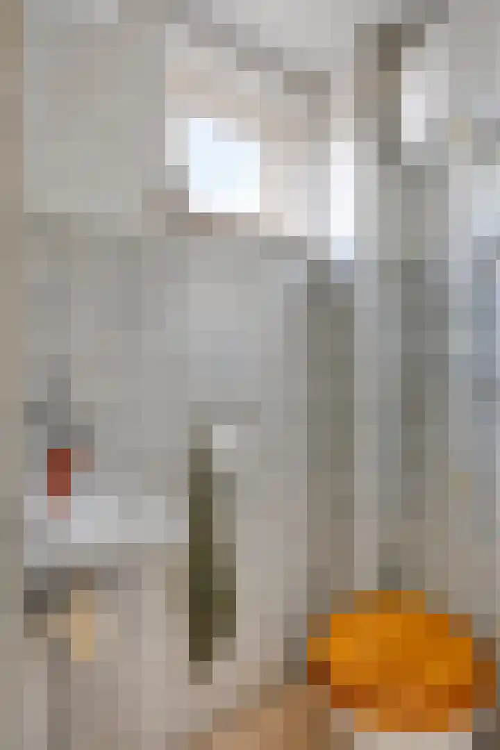 Museumlaan 14 Koog aan de Zaan thumbnail 6