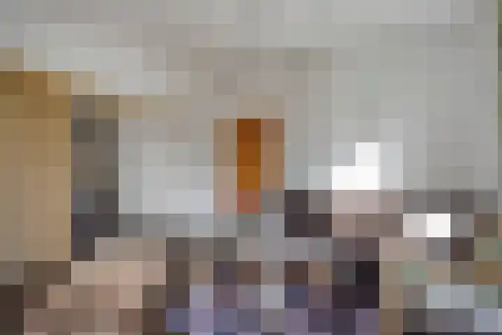 Museumlaan 14 Koog aan de Zaan thumbnail 9