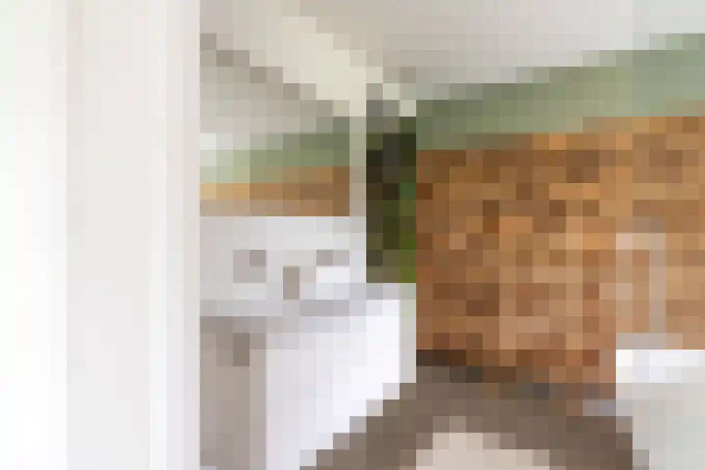 Museumlaan 17 Overloon thumbnail 32
