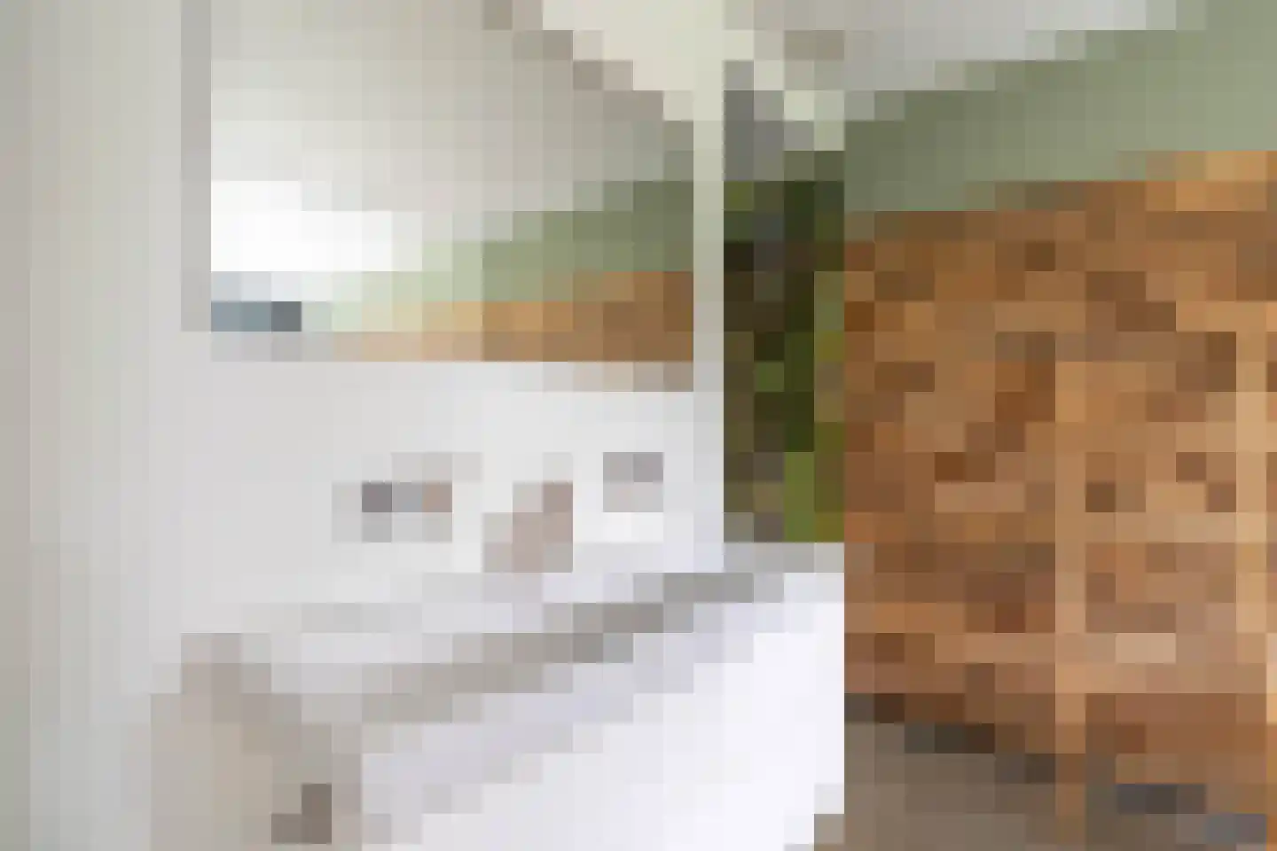 Museumlaan 17 Overloon thumbnail 33