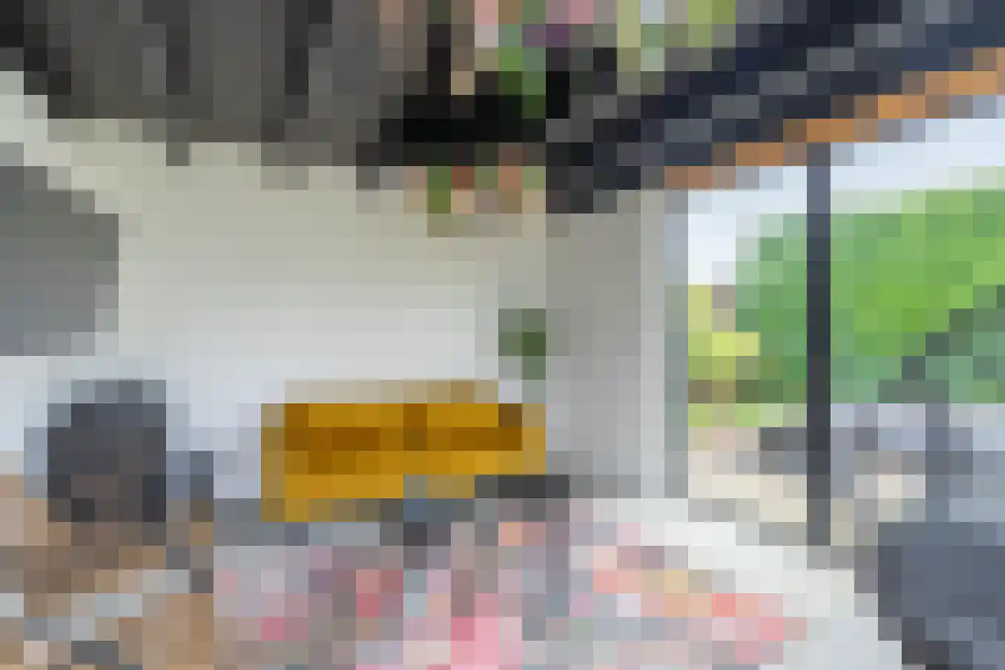 Museumlaan 17 Overloon thumbnail 62