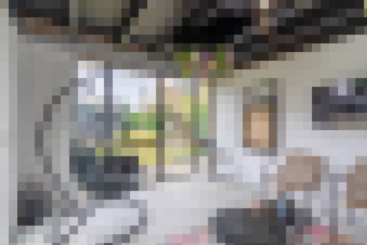 Museumlaan 17 Overloon thumbnail 63