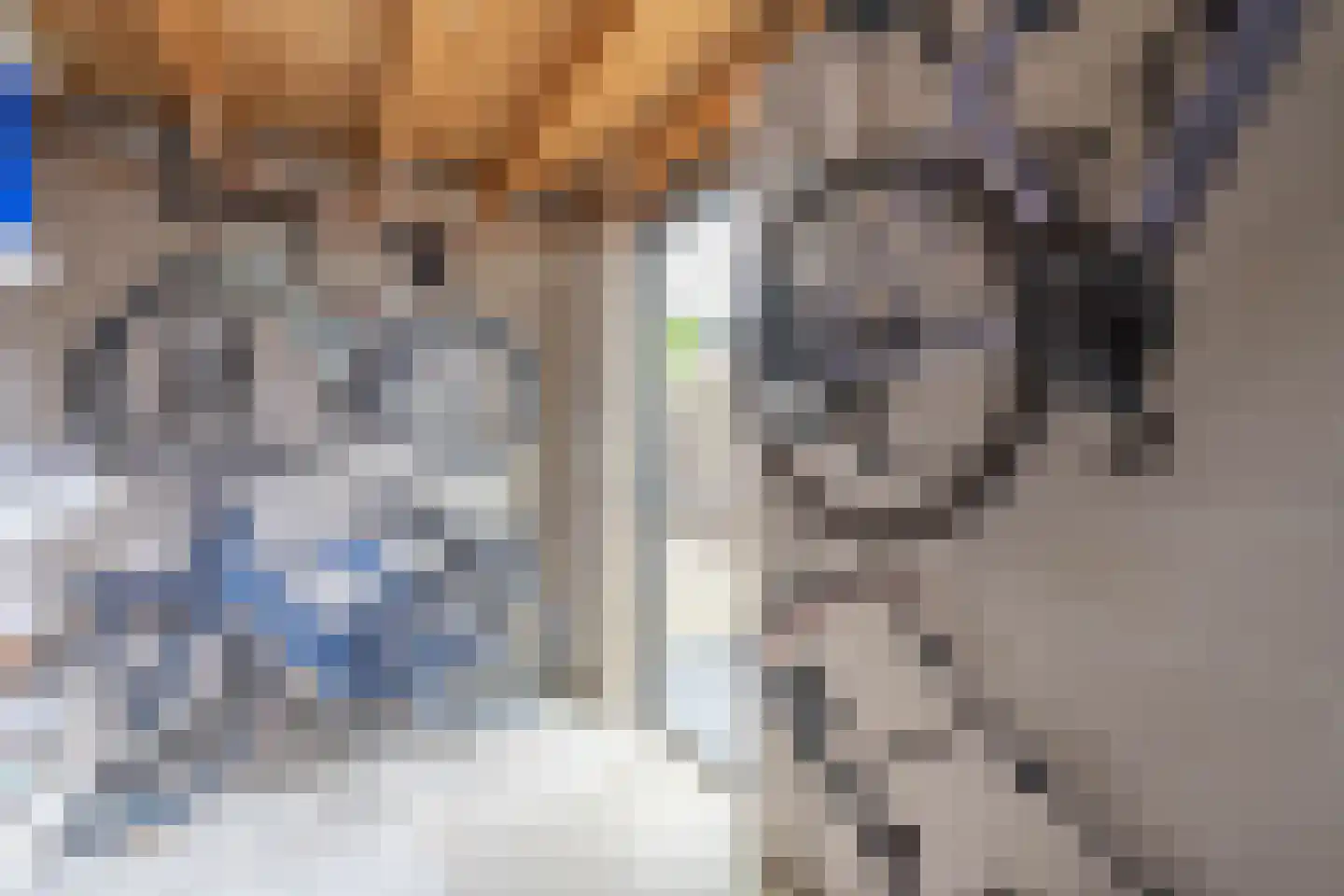 Museumlaan 17 Overloon thumbnail 65
