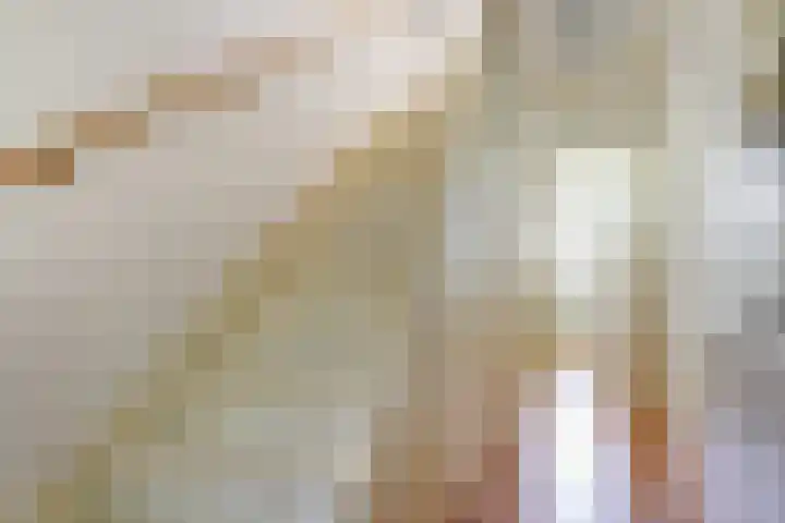 Museumlaan 22 Koog aan de Zaan thumbnail 15