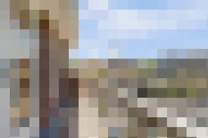 Museumlaan 22 Koog aan de Zaan thumbnail 36