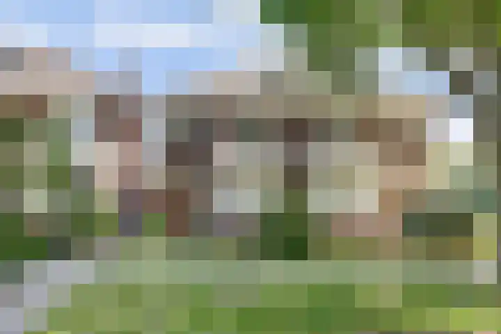 Museumlaan 22 Koog aan de Zaan thumbnail 37