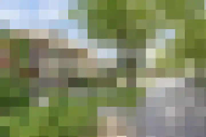 Museumlaan 22 Koog aan de Zaan thumbnail 38