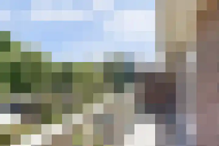 Museumlaan 22 Koog aan de Zaan thumbnail 39