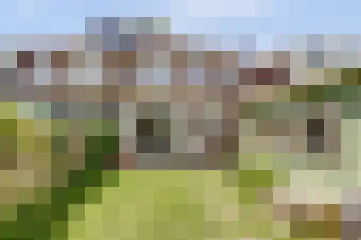 Museumlaan 22 Koog aan de Zaan thumbnail 40