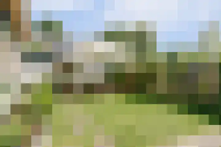 Museumlaan 22 Koog aan de Zaan thumbnail 41