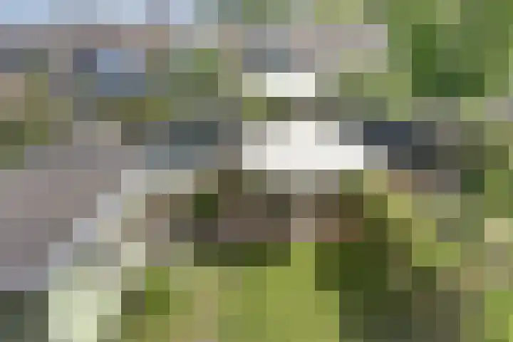 Museumlaan 22 Koog aan de Zaan thumbnail 44