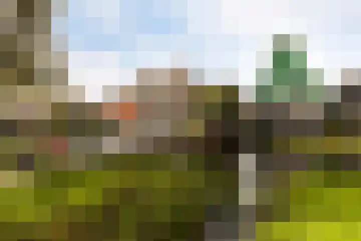 Museumlaan 22 Koog aan de Zaan thumbnail 47