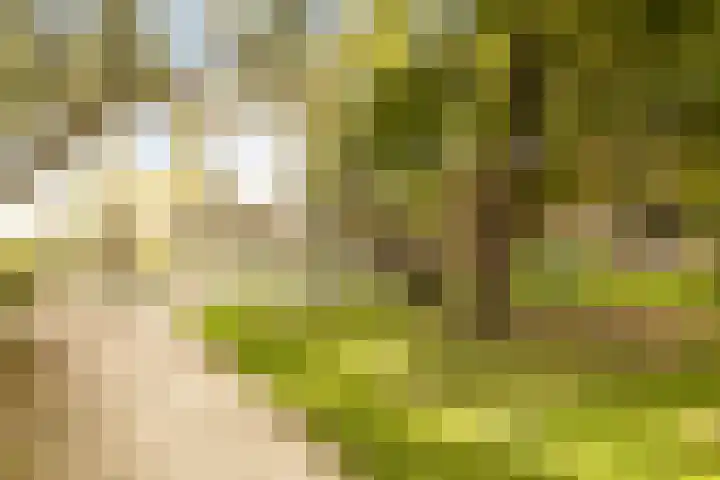 Museumlaan 22 Koog aan de Zaan thumbnail 49