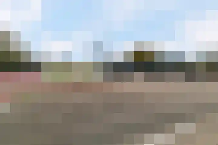 Museumlaan 22 Koog aan de Zaan thumbnail 51
