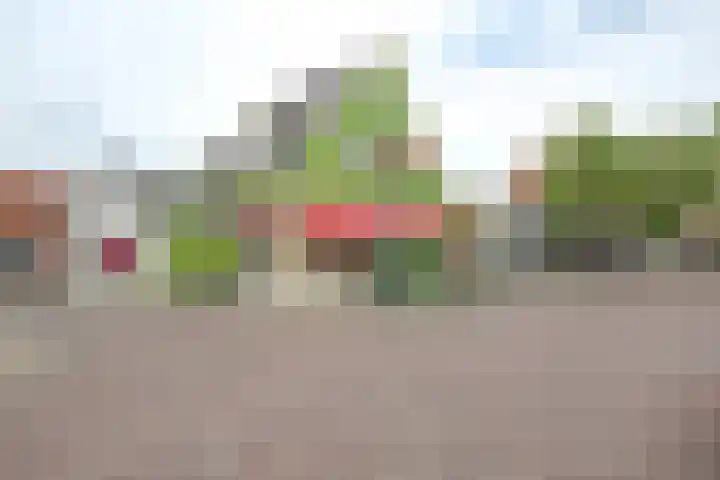 Museumlaan 22 Koog aan de Zaan thumbnail 53