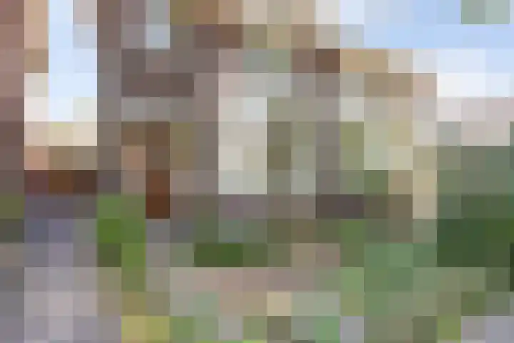 Museumlaan 22 Koog aan de Zaan thumbnail 6