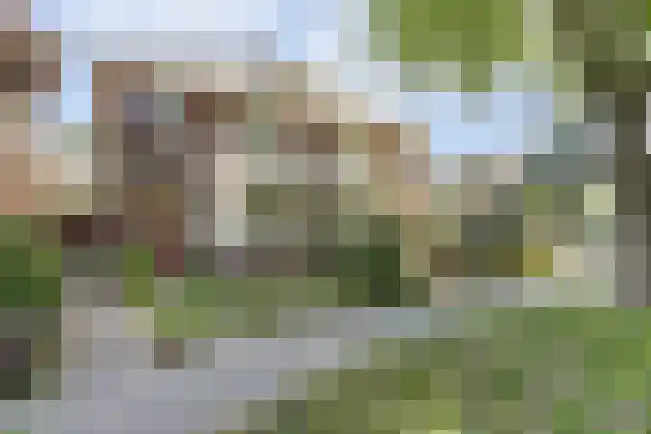 Museumlaan 22 Koog aan de Zaan thumbnail 62