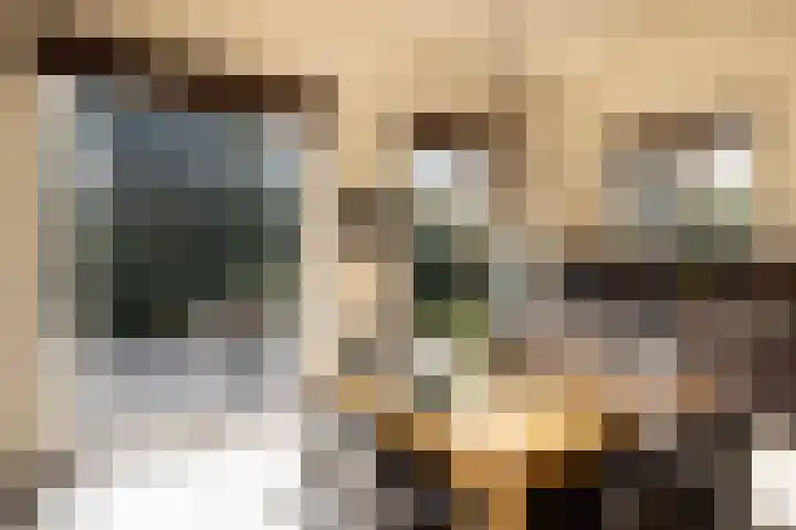 Museumlaan 3 Huizen thumbnail 10