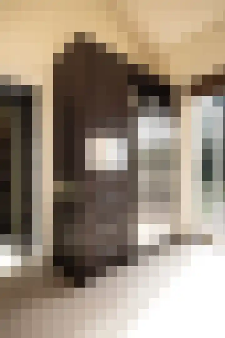 Museumlaan 3 Huizen thumbnail 12