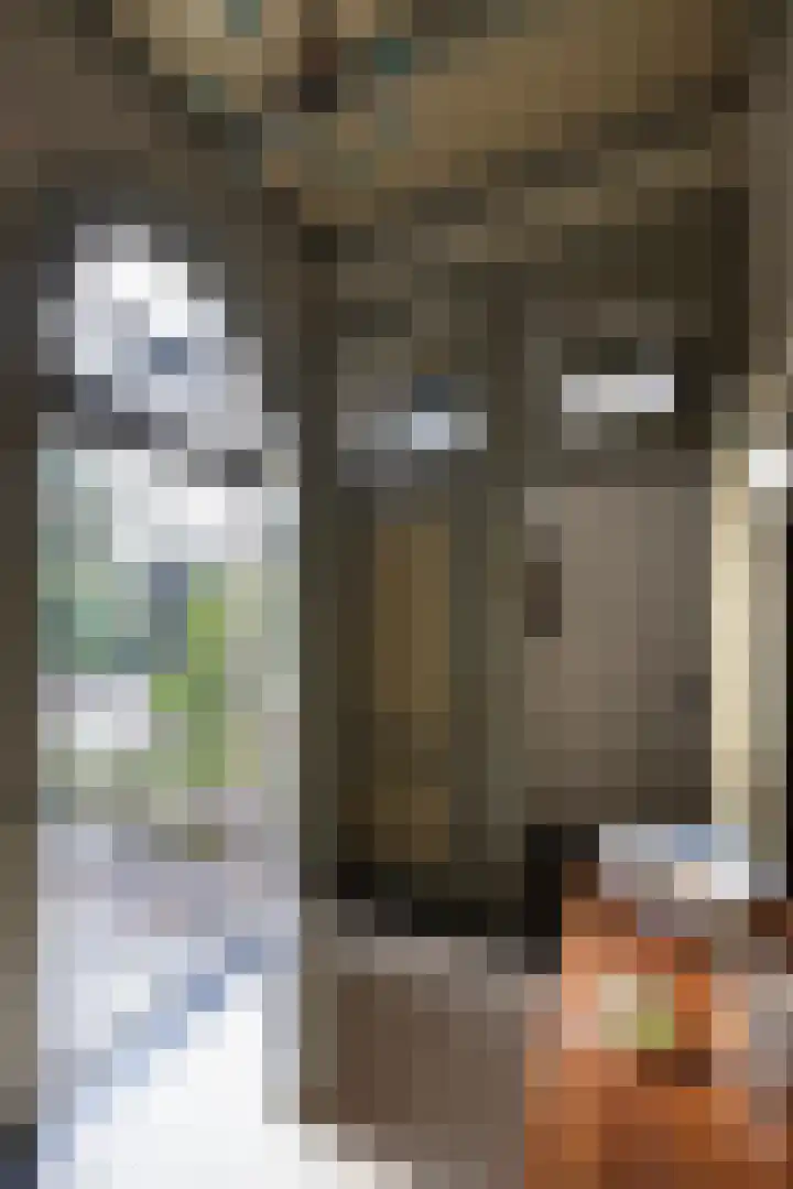 Museumlaan 3 Huizen thumbnail 19