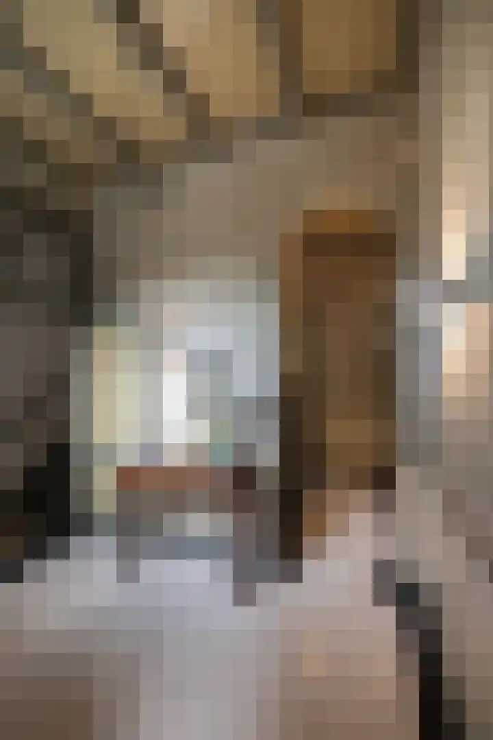 Museumlaan 3 Huizen thumbnail 20