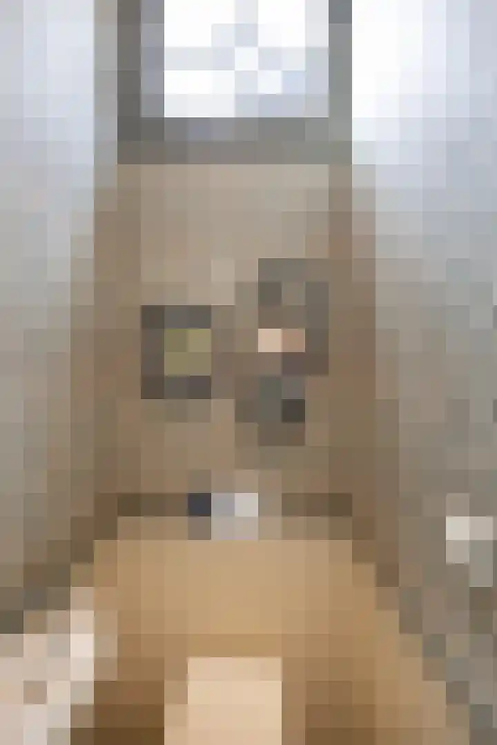 Museumlaan 3 Huizen thumbnail 21