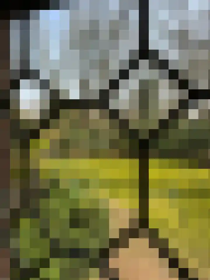 Museumlaan 3 Huizen thumbnail 24
