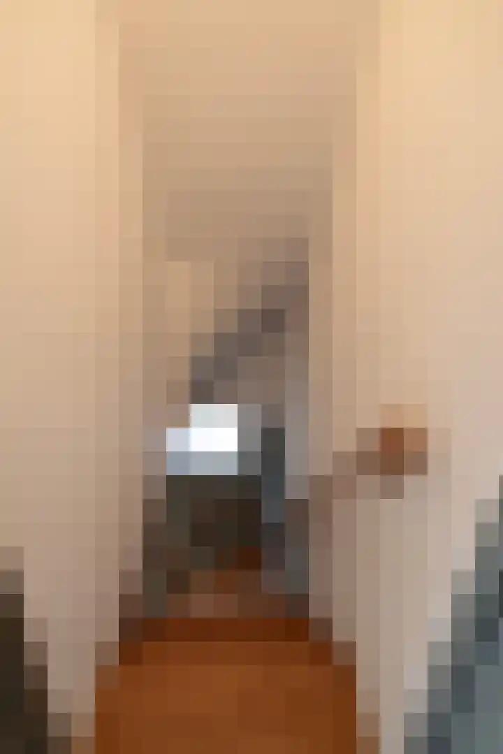Museumlaan 3 Huizen thumbnail 26