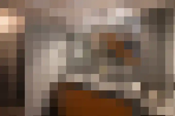 Museumlaan 3 Huizen thumbnail 28
