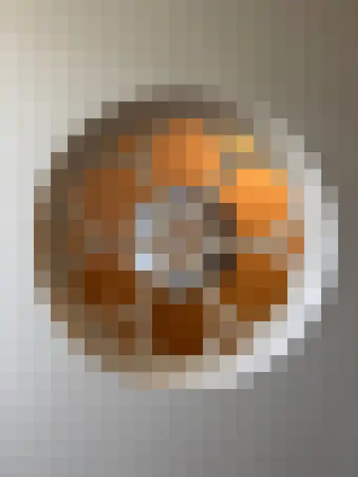 Museumlaan 3 Huizen thumbnail 42