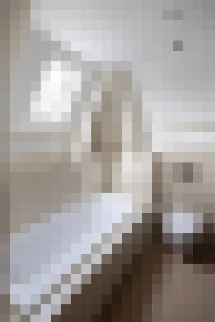Museumlaan 3 Huizen thumbnail 44