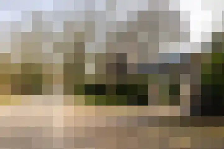 Museumlaan 3 Huizen thumbnail 48